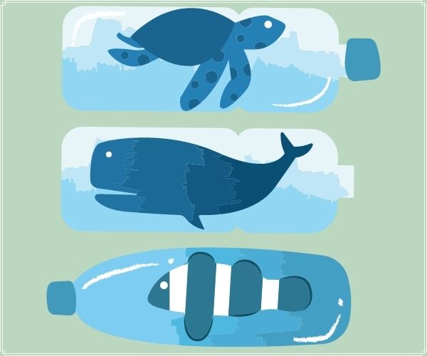 dessins tortue, baleine et poisson clown chacun dans une bouteille en plastique; déchets palastique
