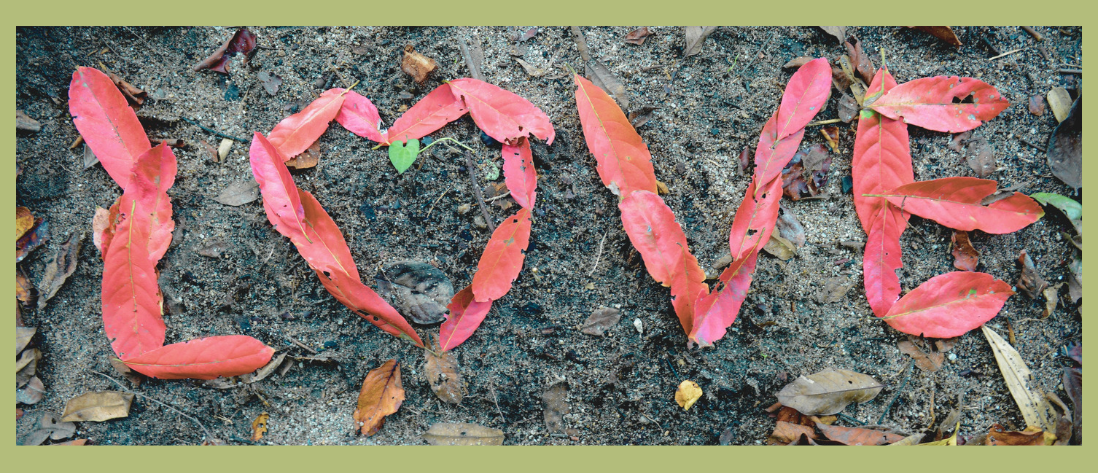 LOVE écrit avec des feuilles d'arbres rouges posées au sol