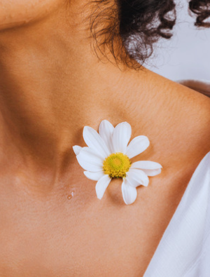 marguerite sur un cou fin tel un collier
