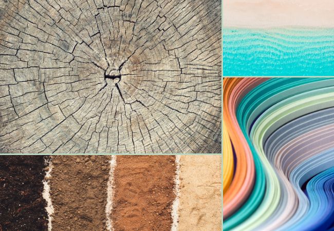 couleurs et formes de la nature qui inspirent une mode éco responsable